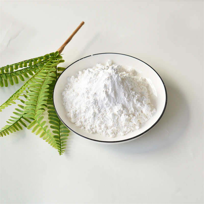 Vitamin D2 CAS 50-14-6